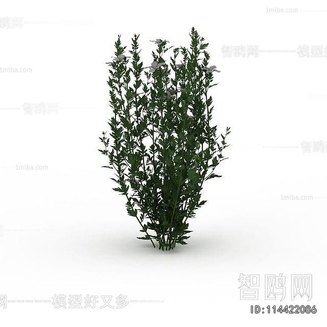 Modern Flowers And Grass