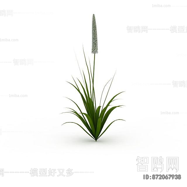 Modern Flowers And Grass