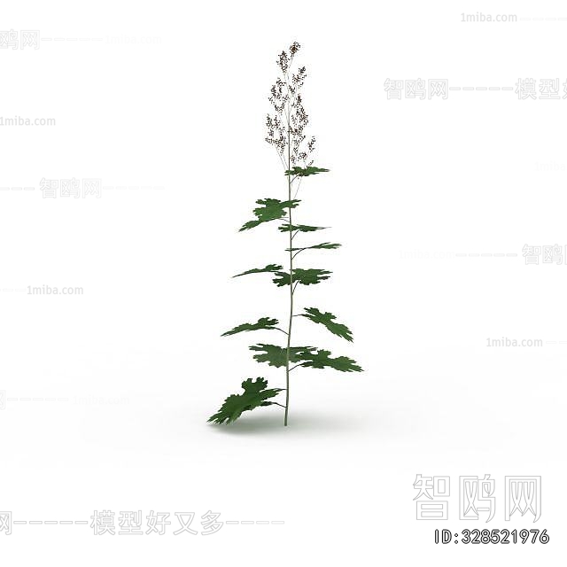 Modern Flowers And Grass