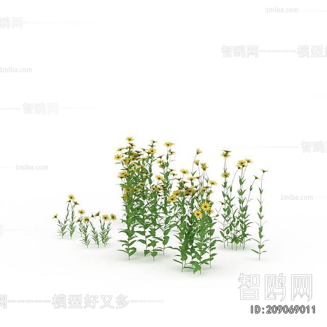 Modern Flowers And Grass