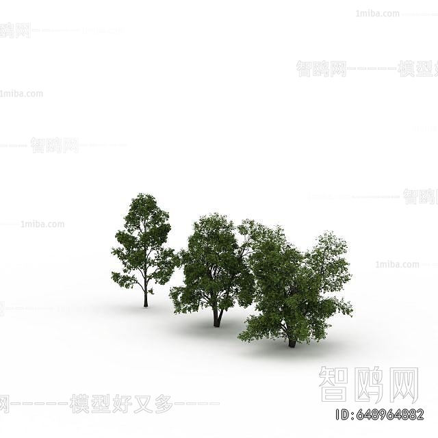 Modern Tree