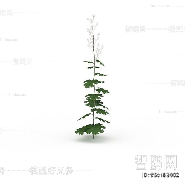 Modern Flowers And Grass