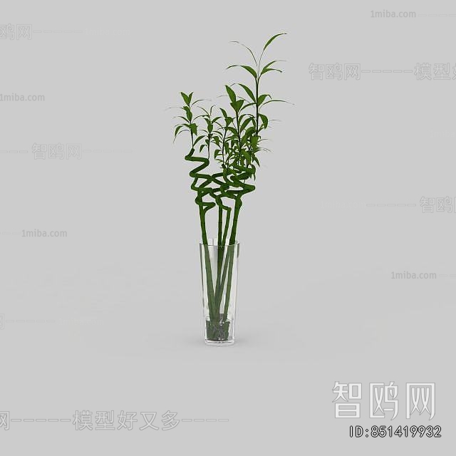 Modern Aquatic Green Plant