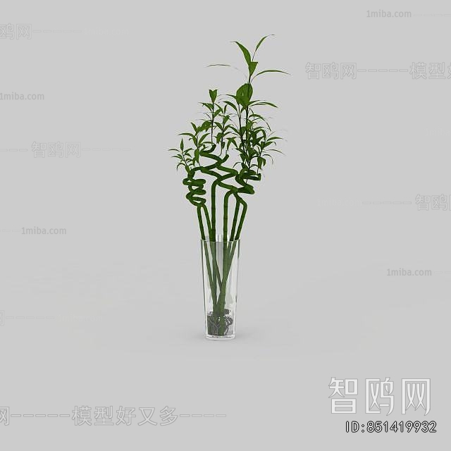 Modern Aquatic Green Plant