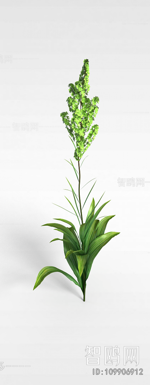 Modern Flowers And Grass