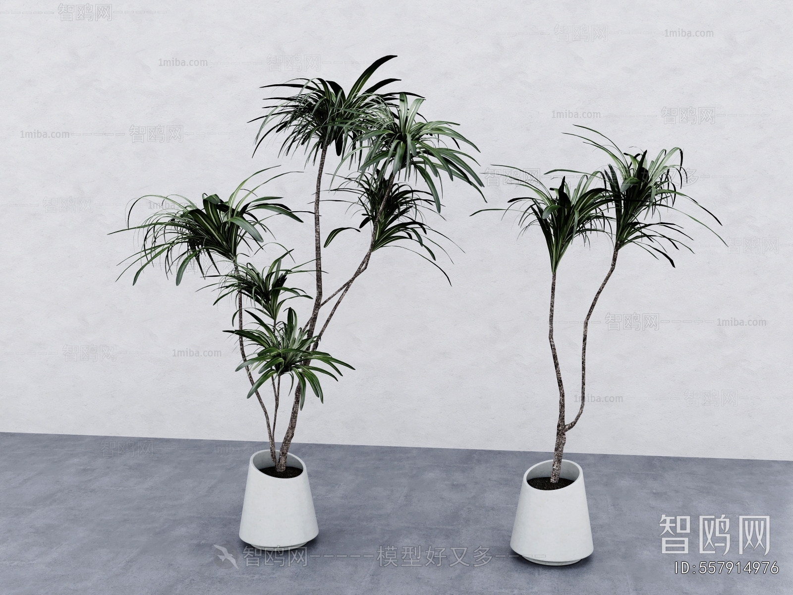 Modern Ground Green Plant Potted Plants