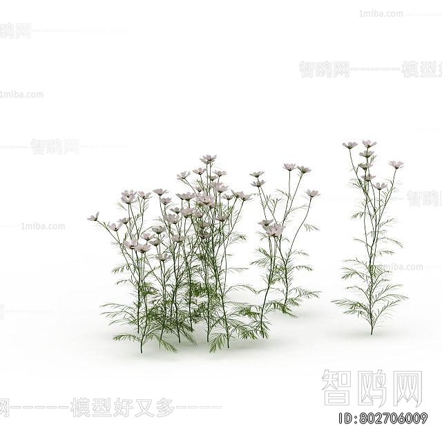 Modern Flowers And Grass