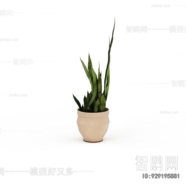 Modern Desktop Plant
