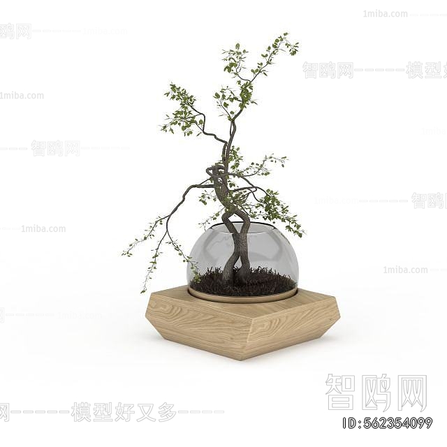 Modern Desktop Plant