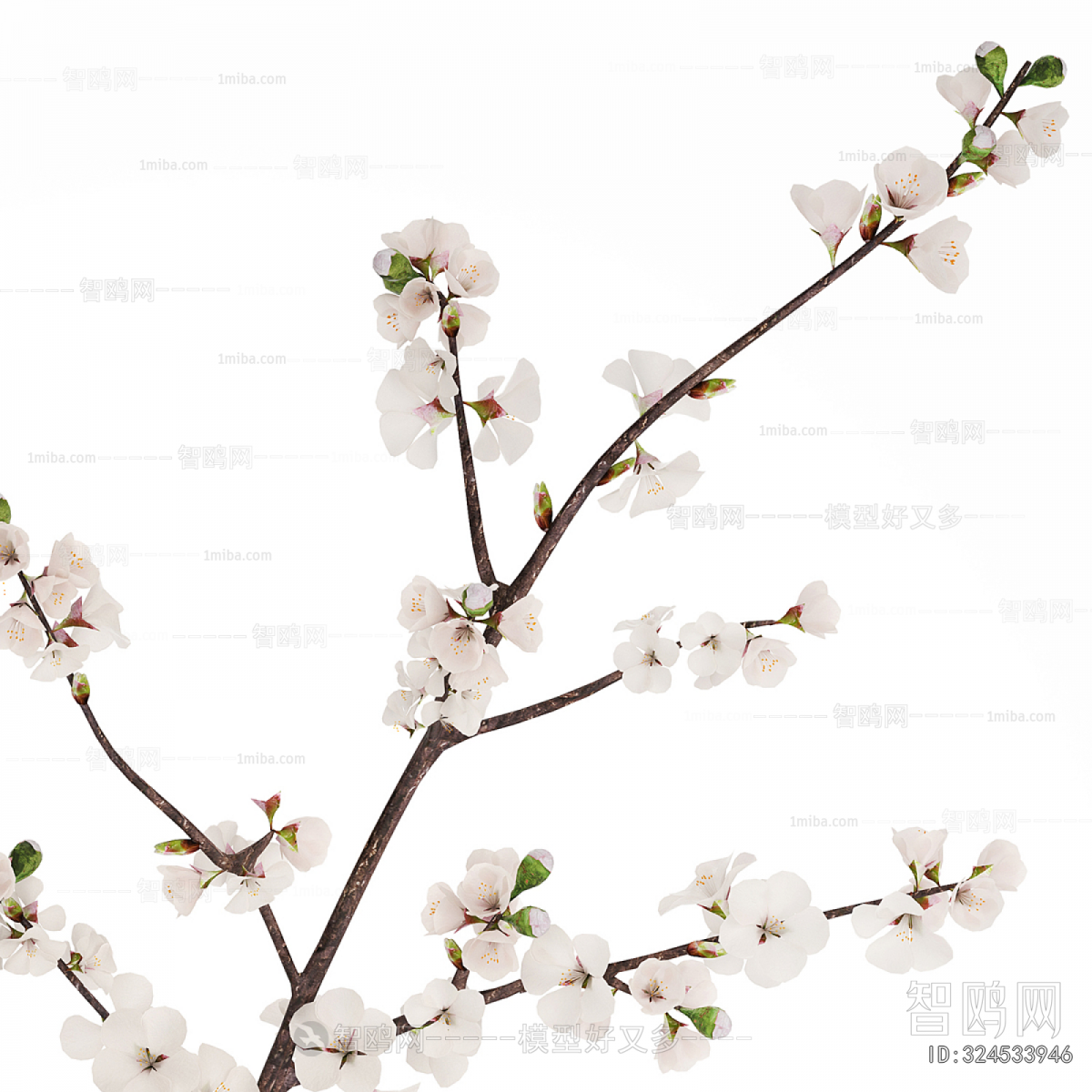 Modern Flower Arrangement