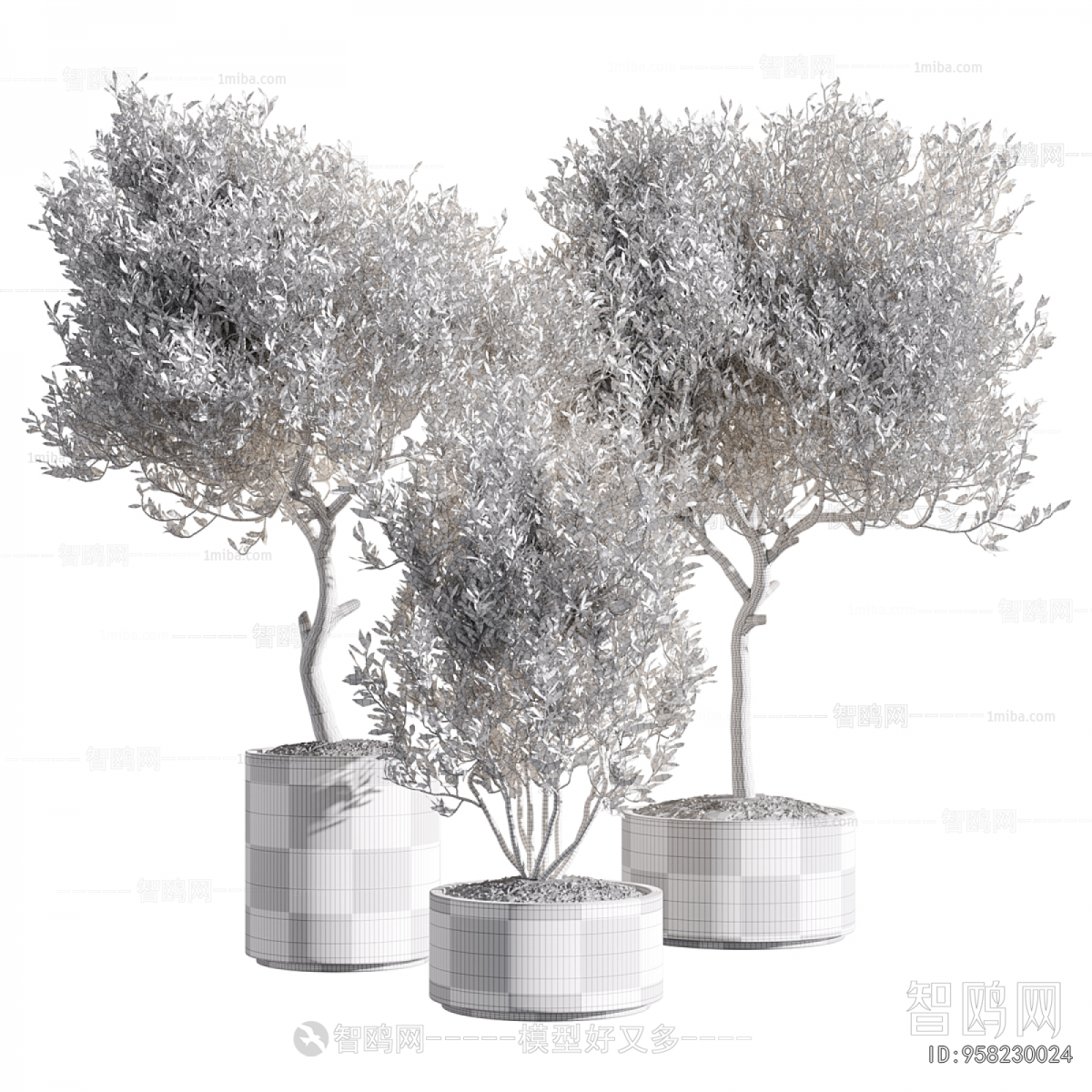 Modern Ground Green Plant Potted Plants