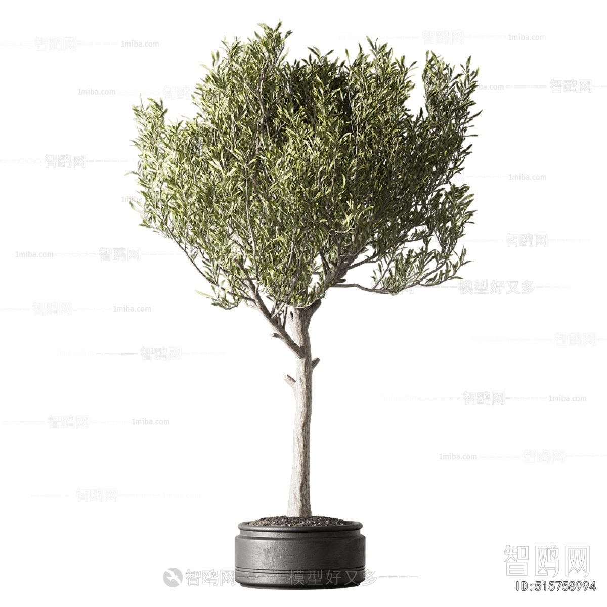 Modern Ground Green Plant Potted Plants