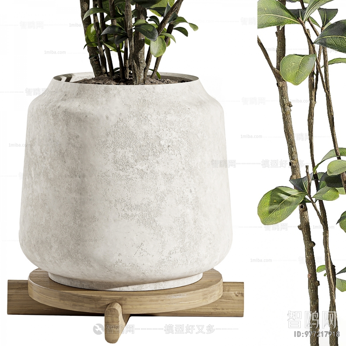 Modern Ground Green Plant Potted Plants