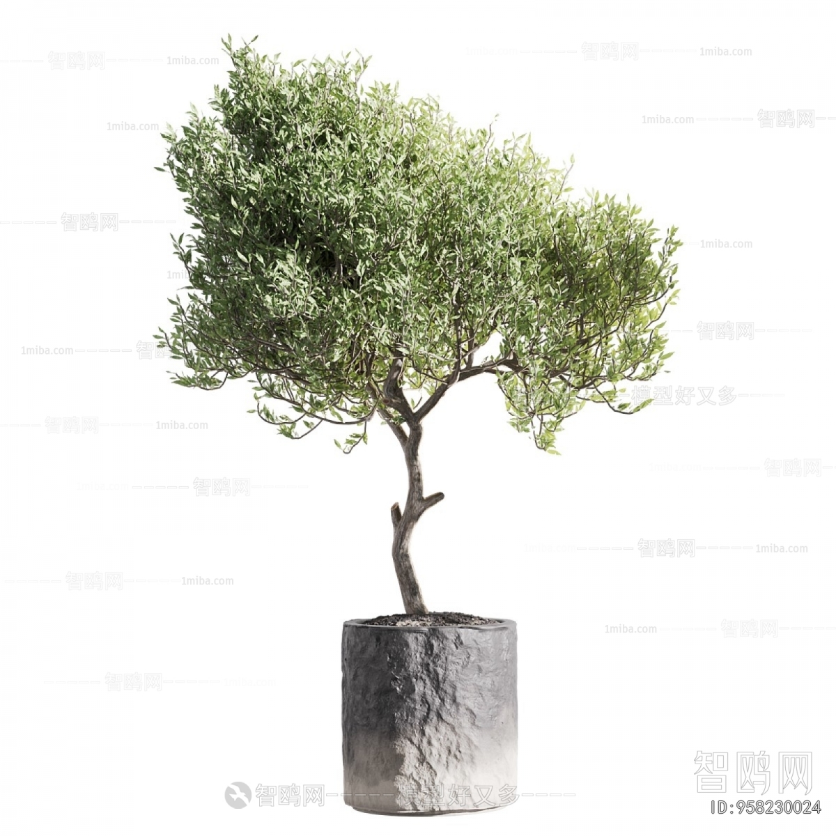 Modern Ground Green Plant Potted Plants
