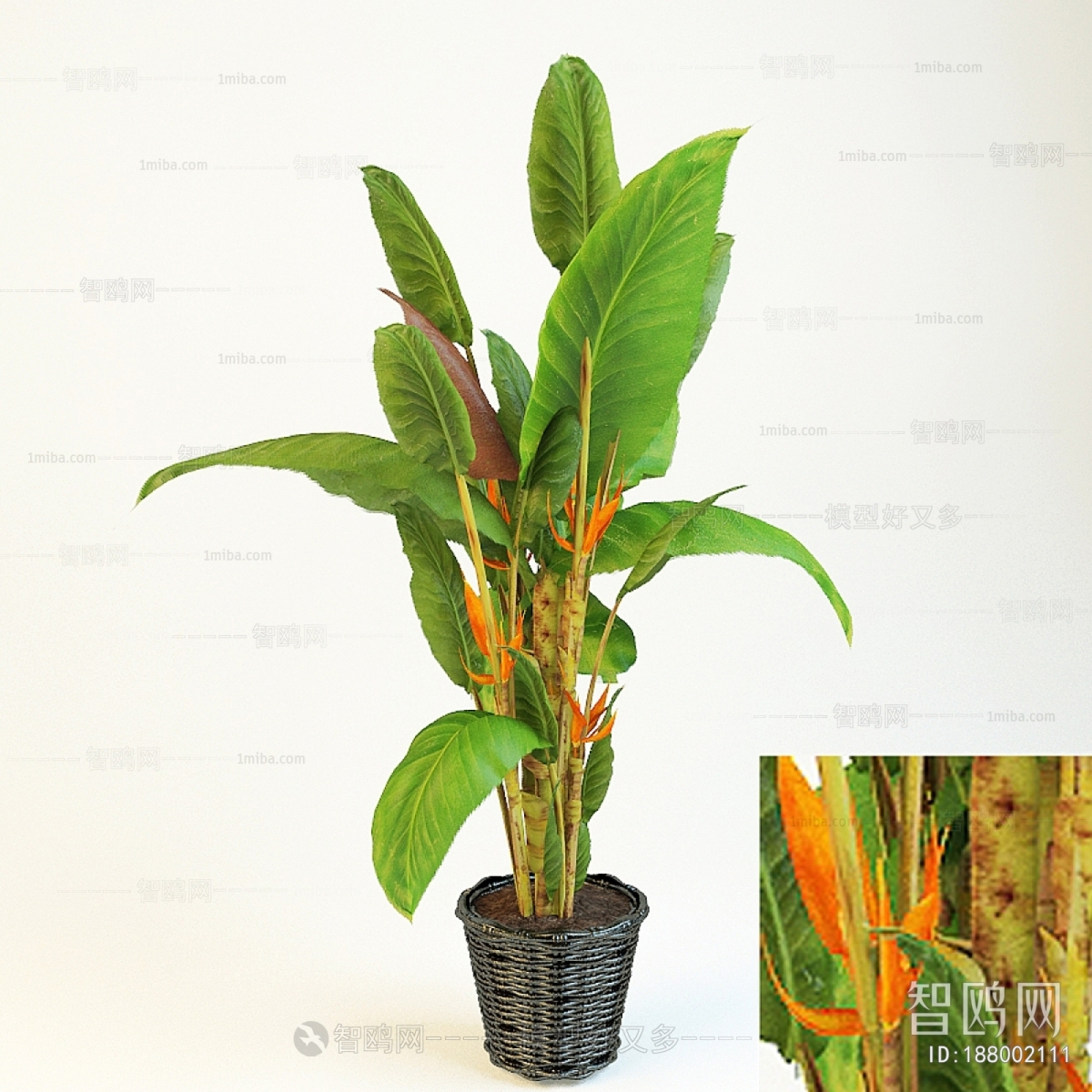 Modern Ground Green Plant Potted Plants