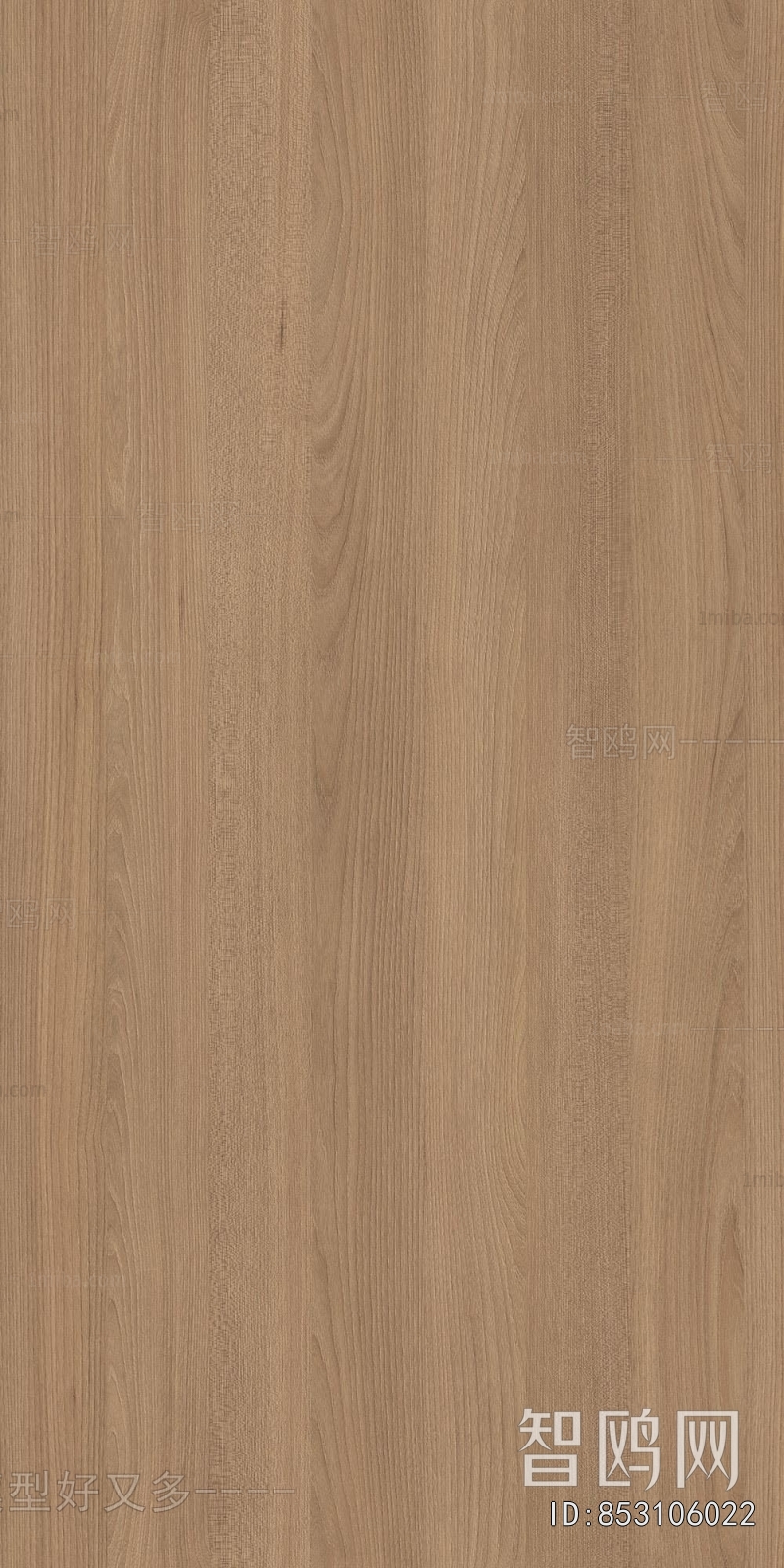 Wood Texture