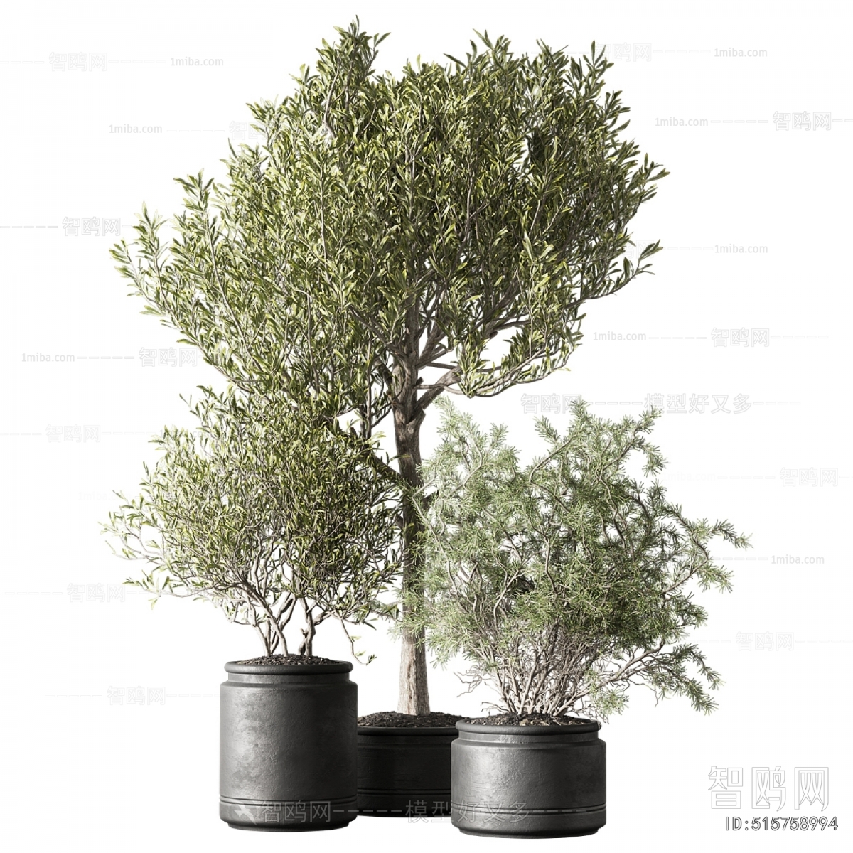 Modern Ground Green Plant Potted Plants