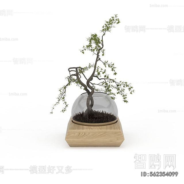 Modern Desktop Plant