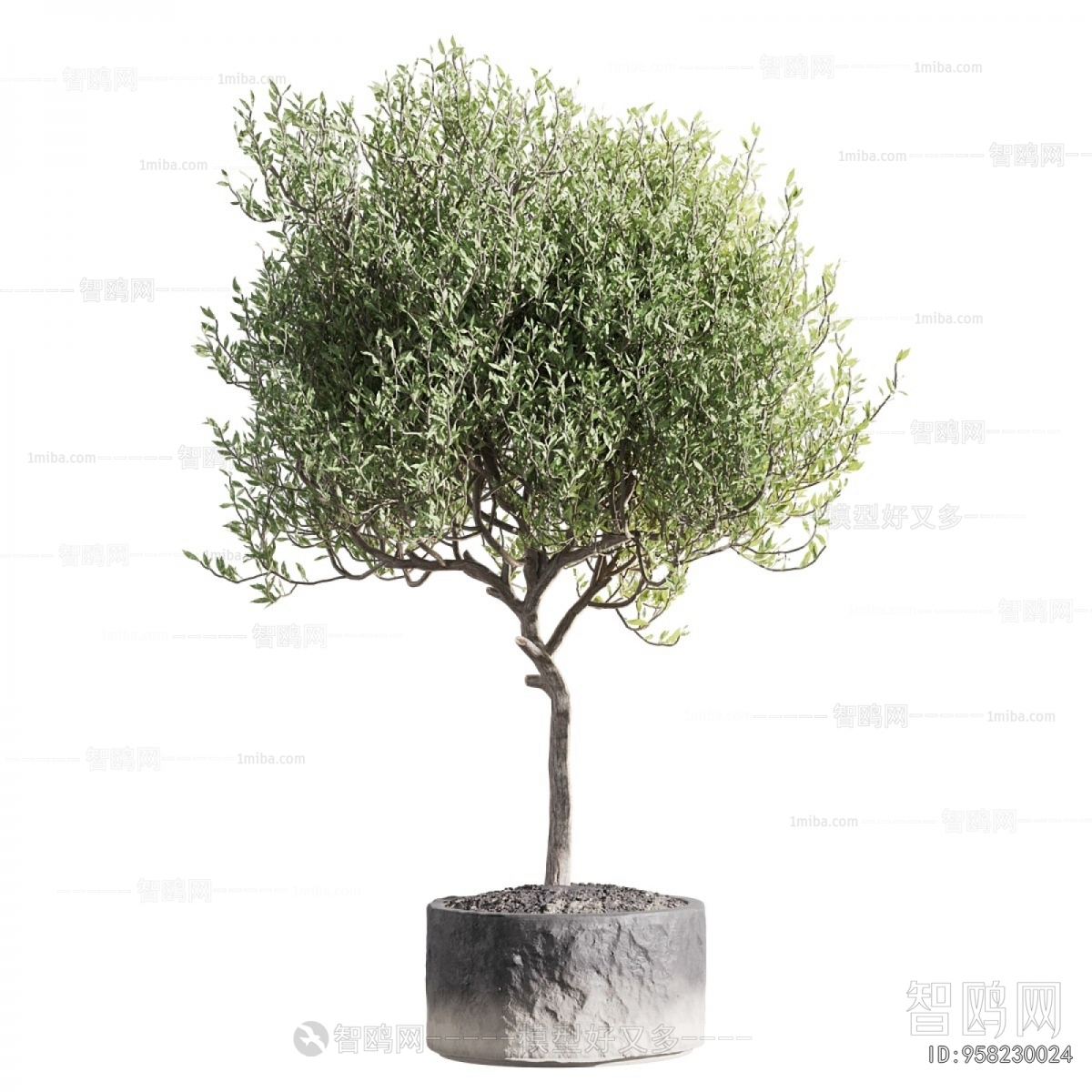 Modern Ground Green Plant Potted Plants