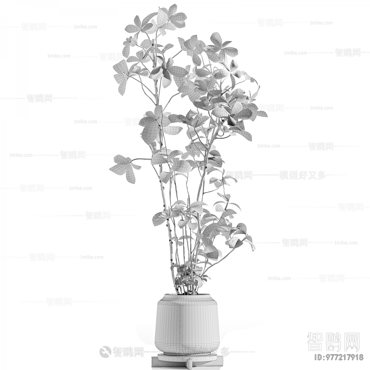 Modern Ground Green Plant Potted Plants