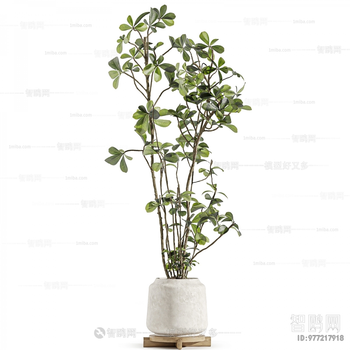 Modern Ground Green Plant Potted Plants