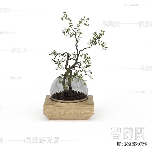 Modern Desktop Plant