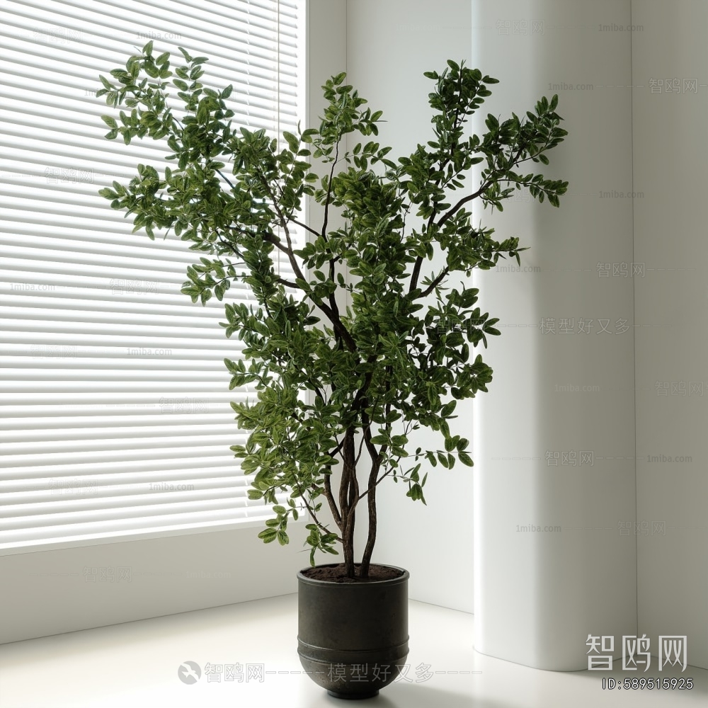 Modern Ground Green Plant Potted Plants