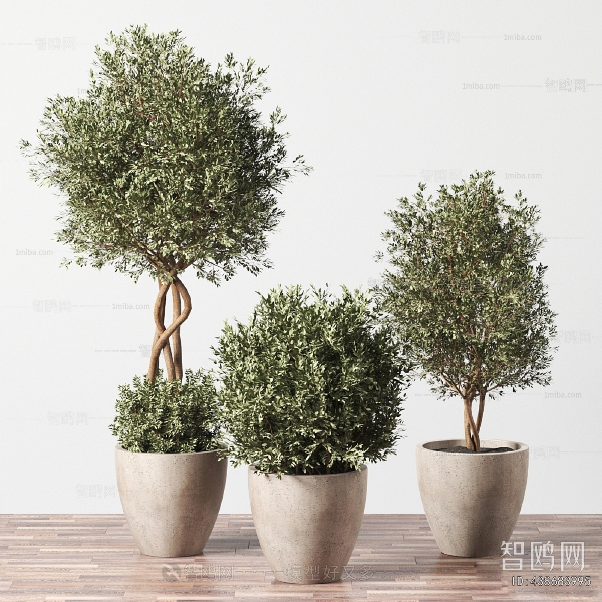 Modern Ground Green Plant Potted Plants