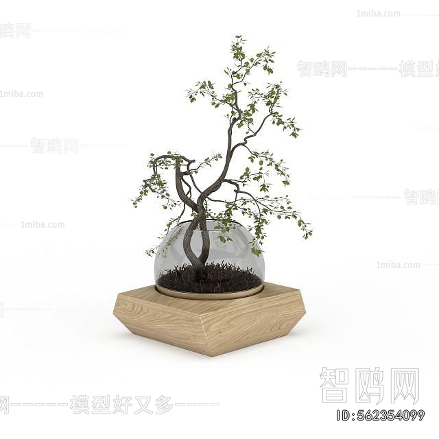 Modern Desktop Plant