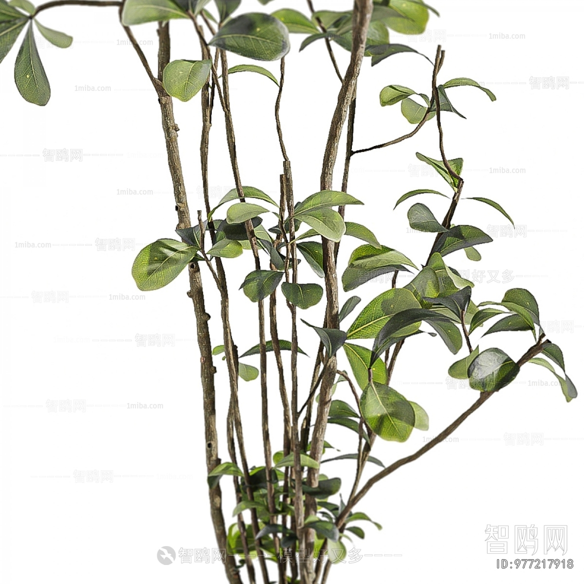 Modern Ground Green Plant Potted Plants