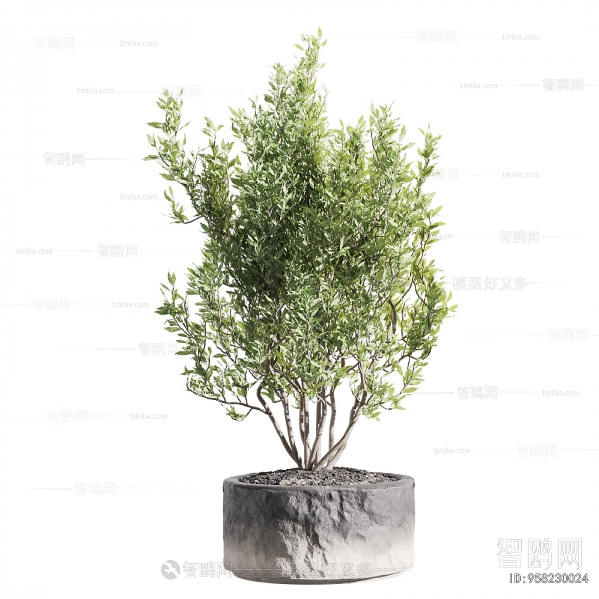 Modern Ground Green Plant Potted Plants