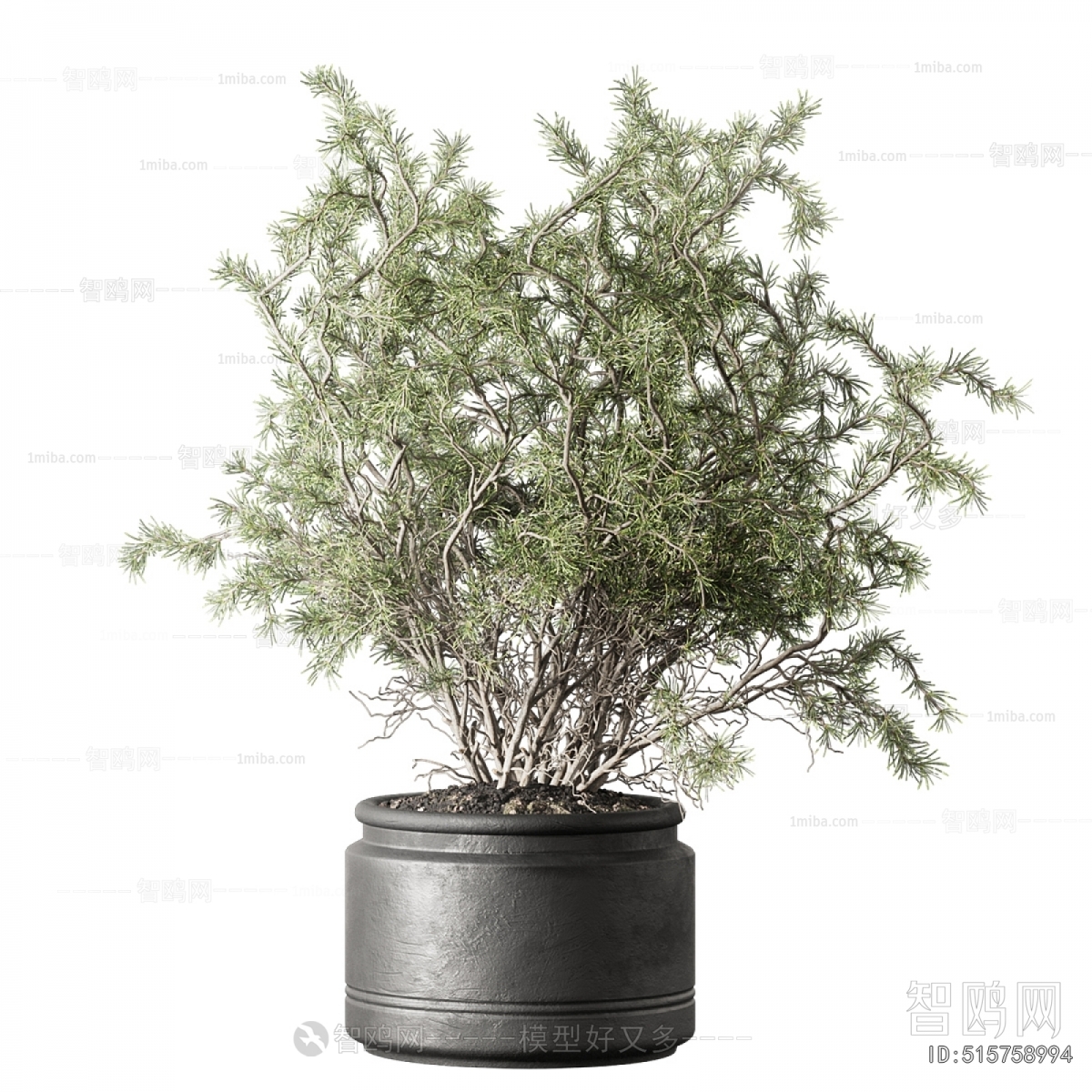 Modern Ground Green Plant Potted Plants