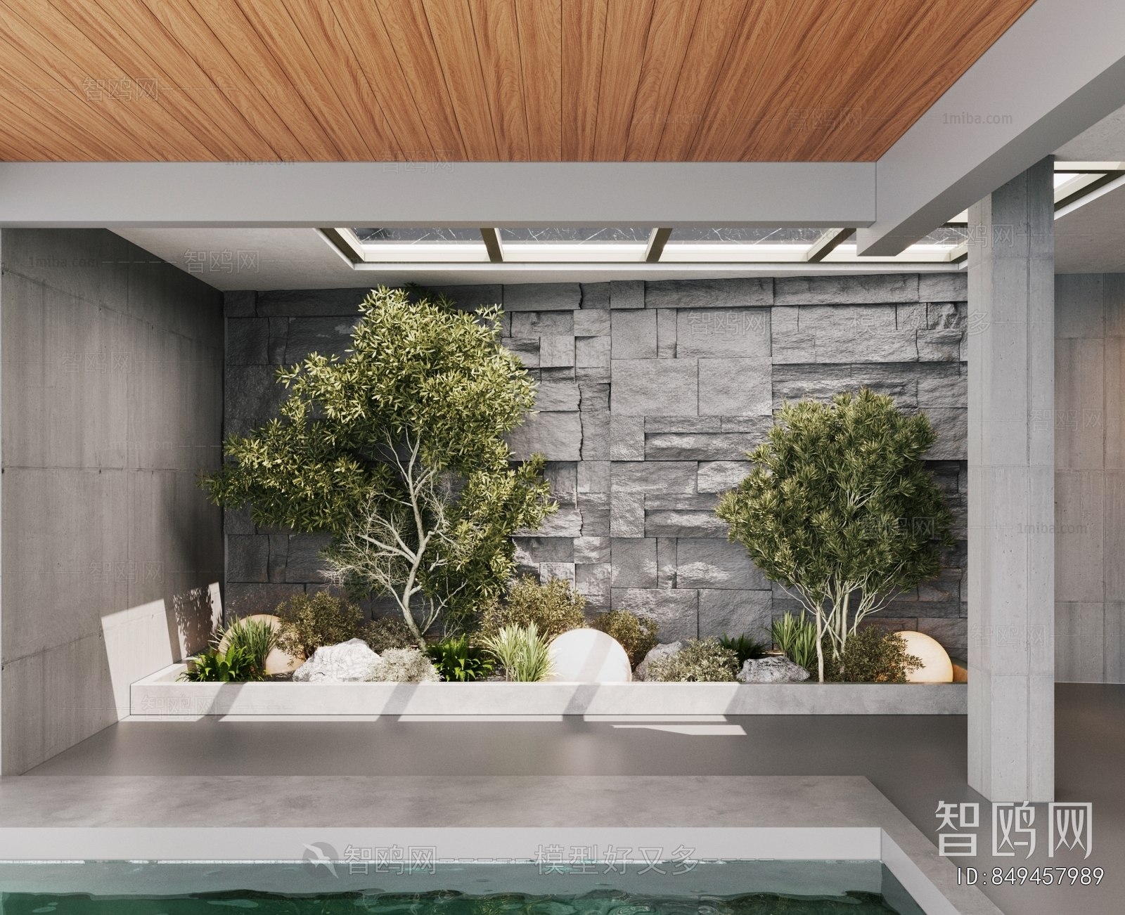 Modern Plant Landscaping