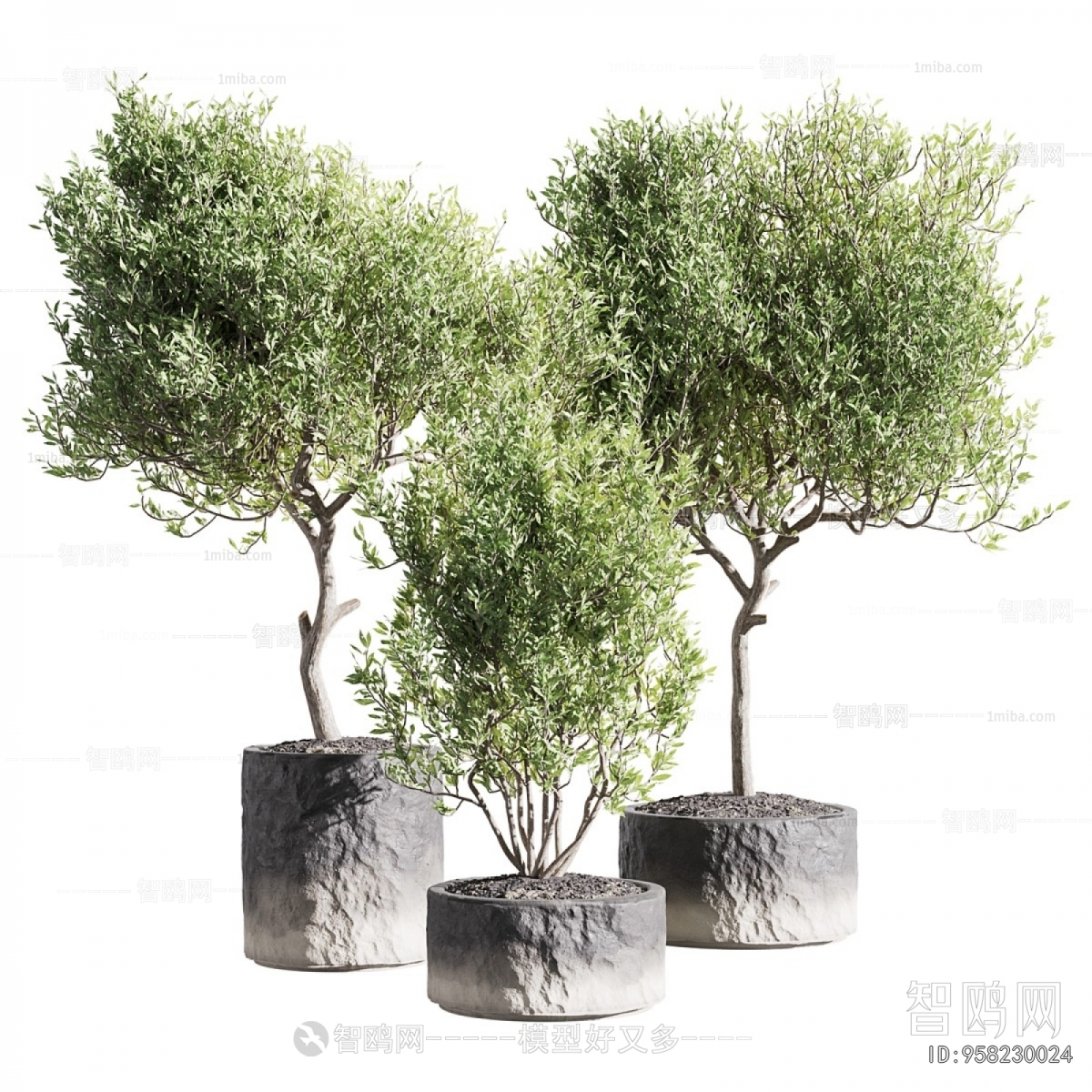 Modern Ground Green Plant Potted Plants