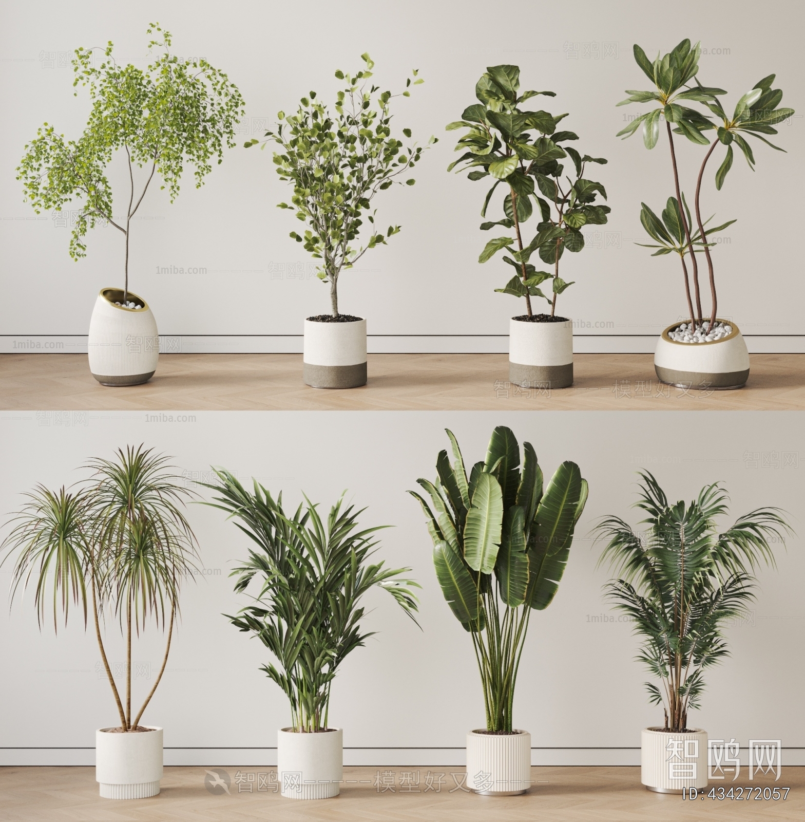 Modern Ground Green Plant Potted Plants