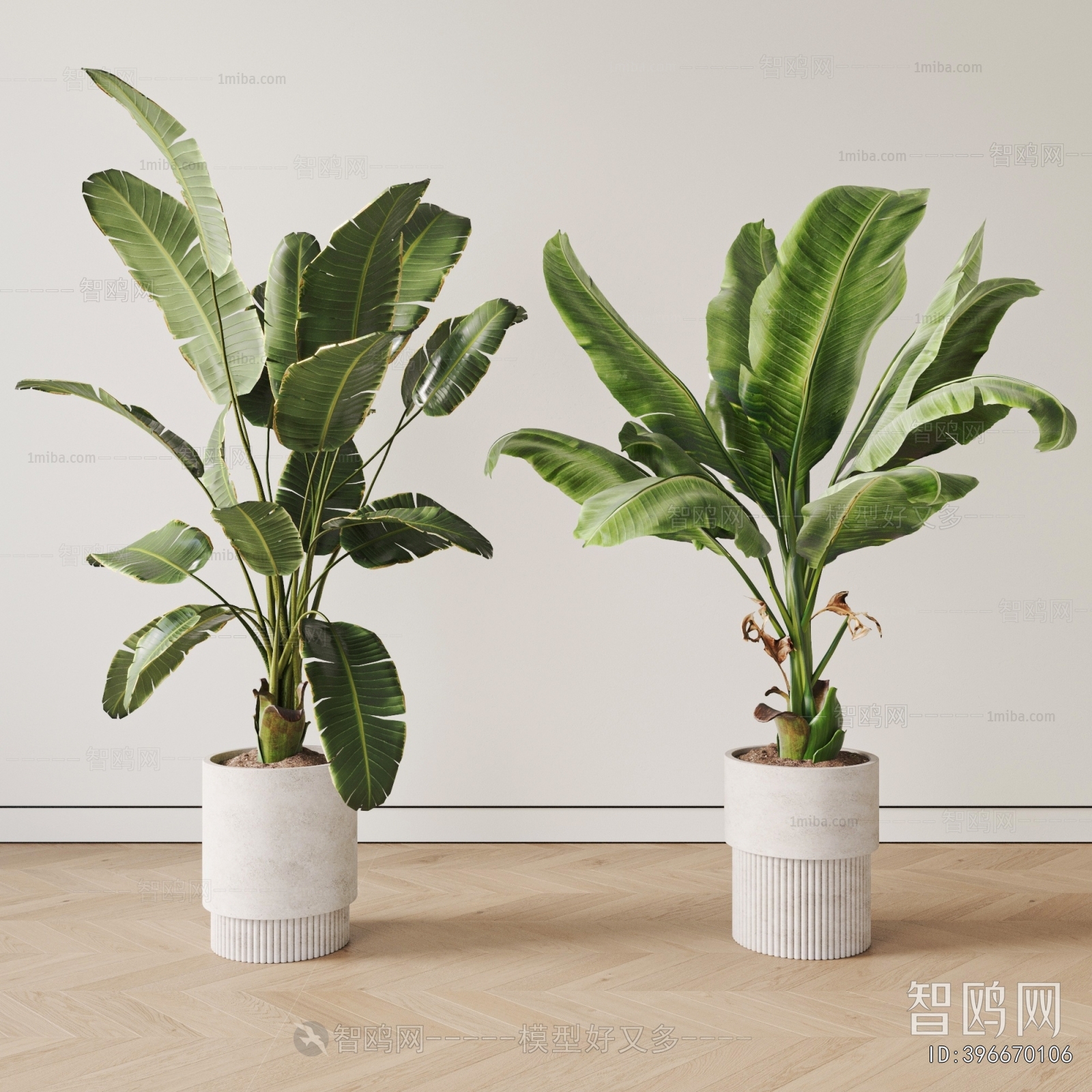 Modern Ground Green Plant Potted Plants