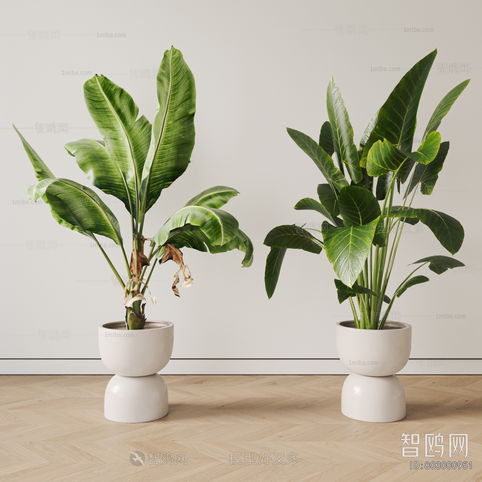 Modern Ground Green Plant Potted Plants