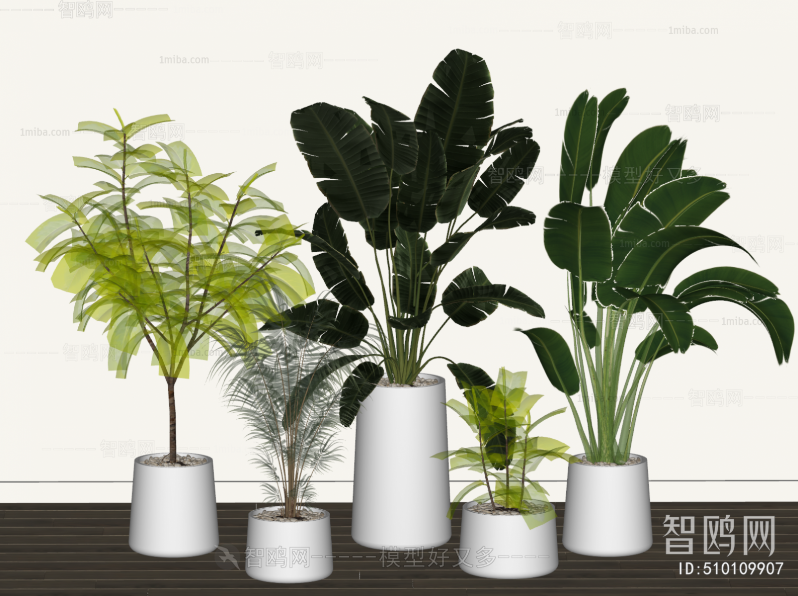 Modern Ground Green Plant Potted Plants