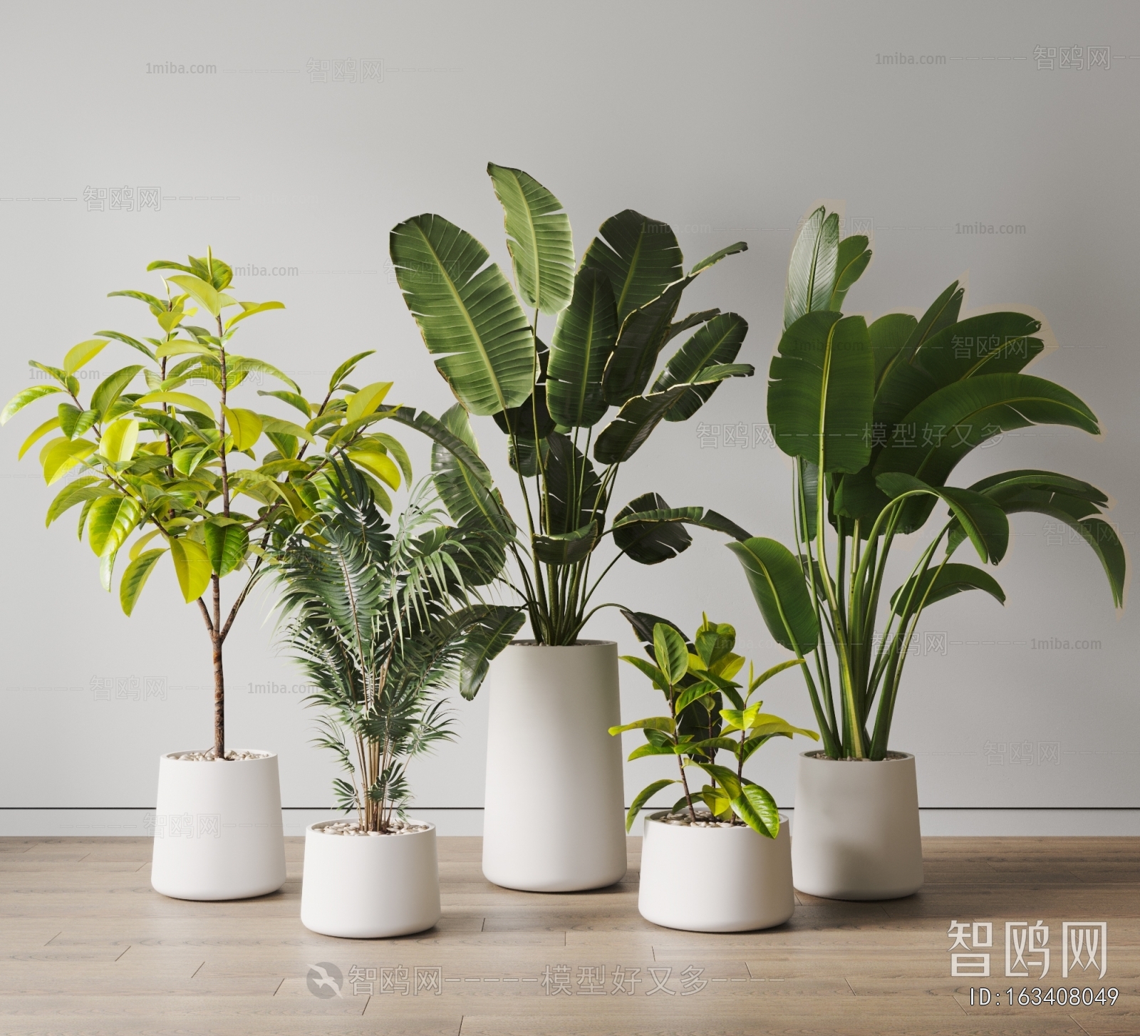 Modern Ground Green Plant Potted Plants