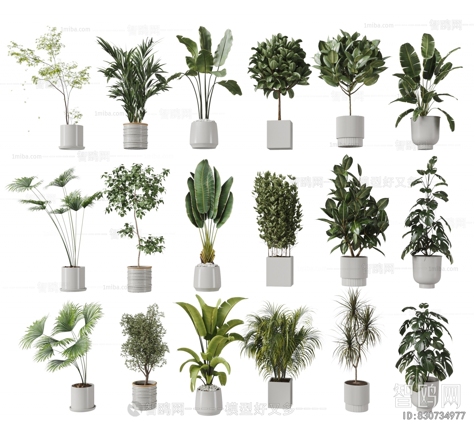Modern Ground Green Plant Potted Plants