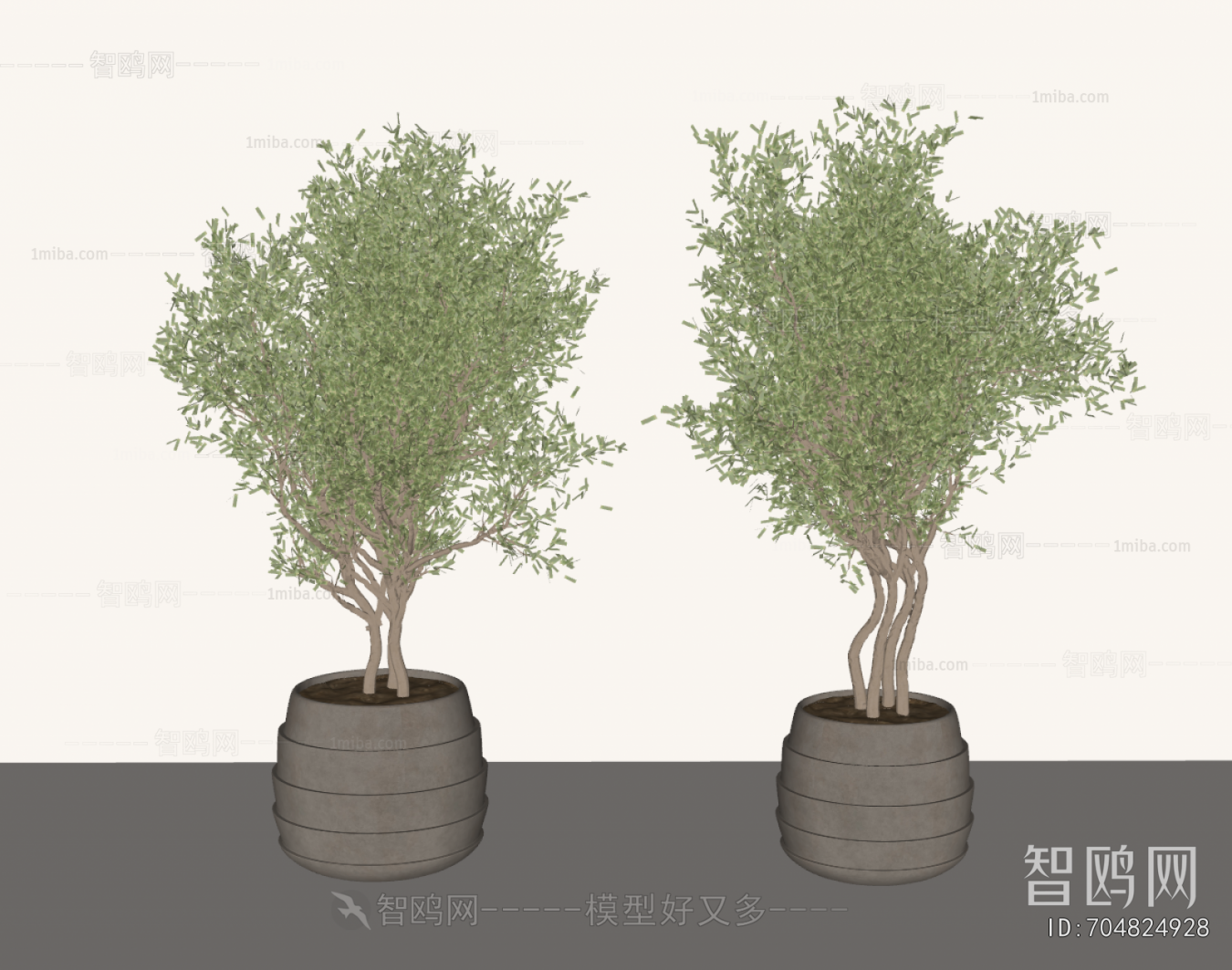 Modern Ground Green Plant Potted Plants