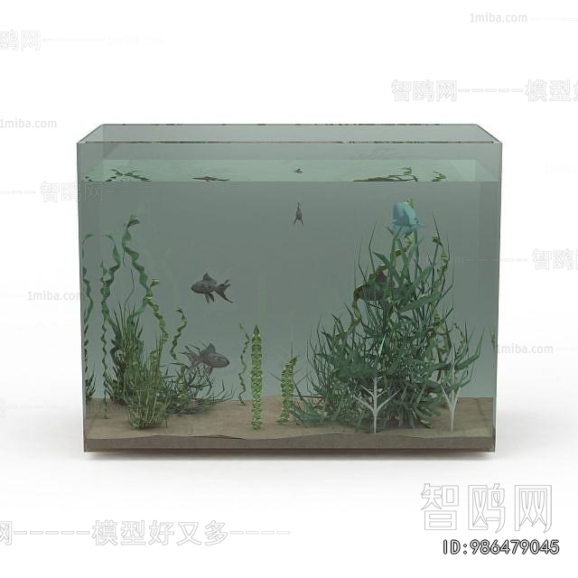 Modern Fish Tank