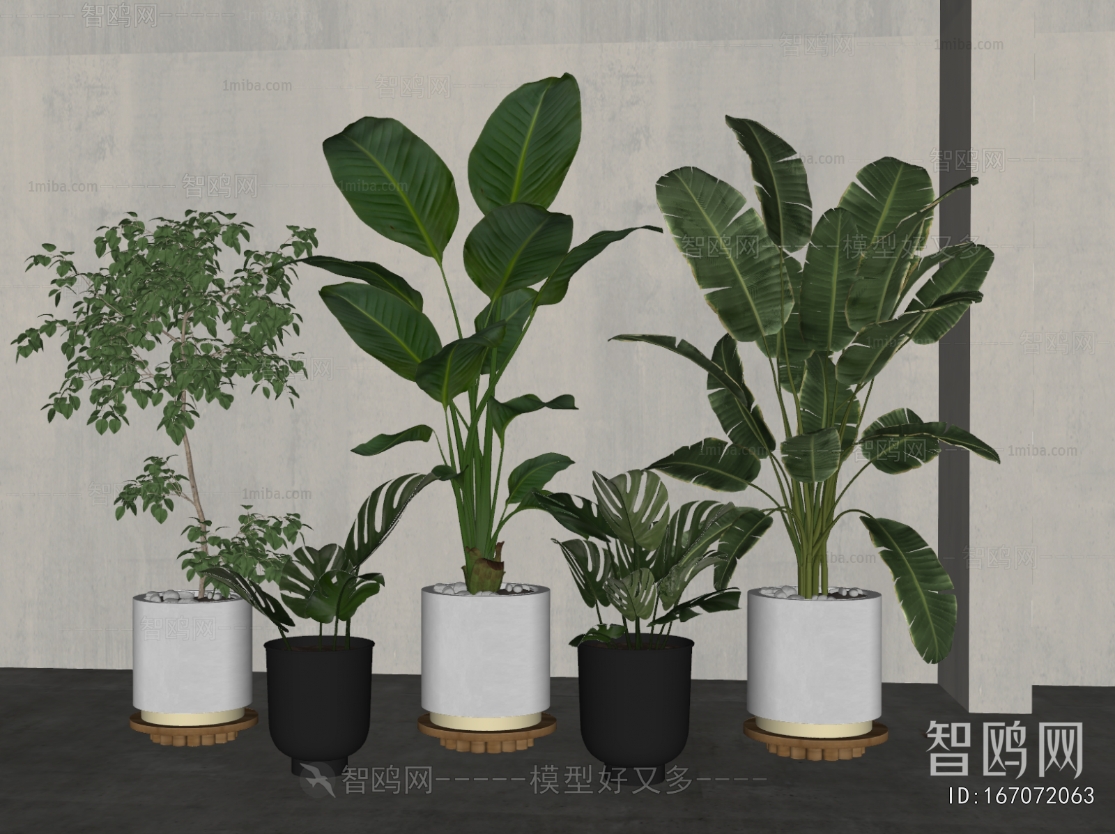 Modern Ground Green Plant Potted Plants