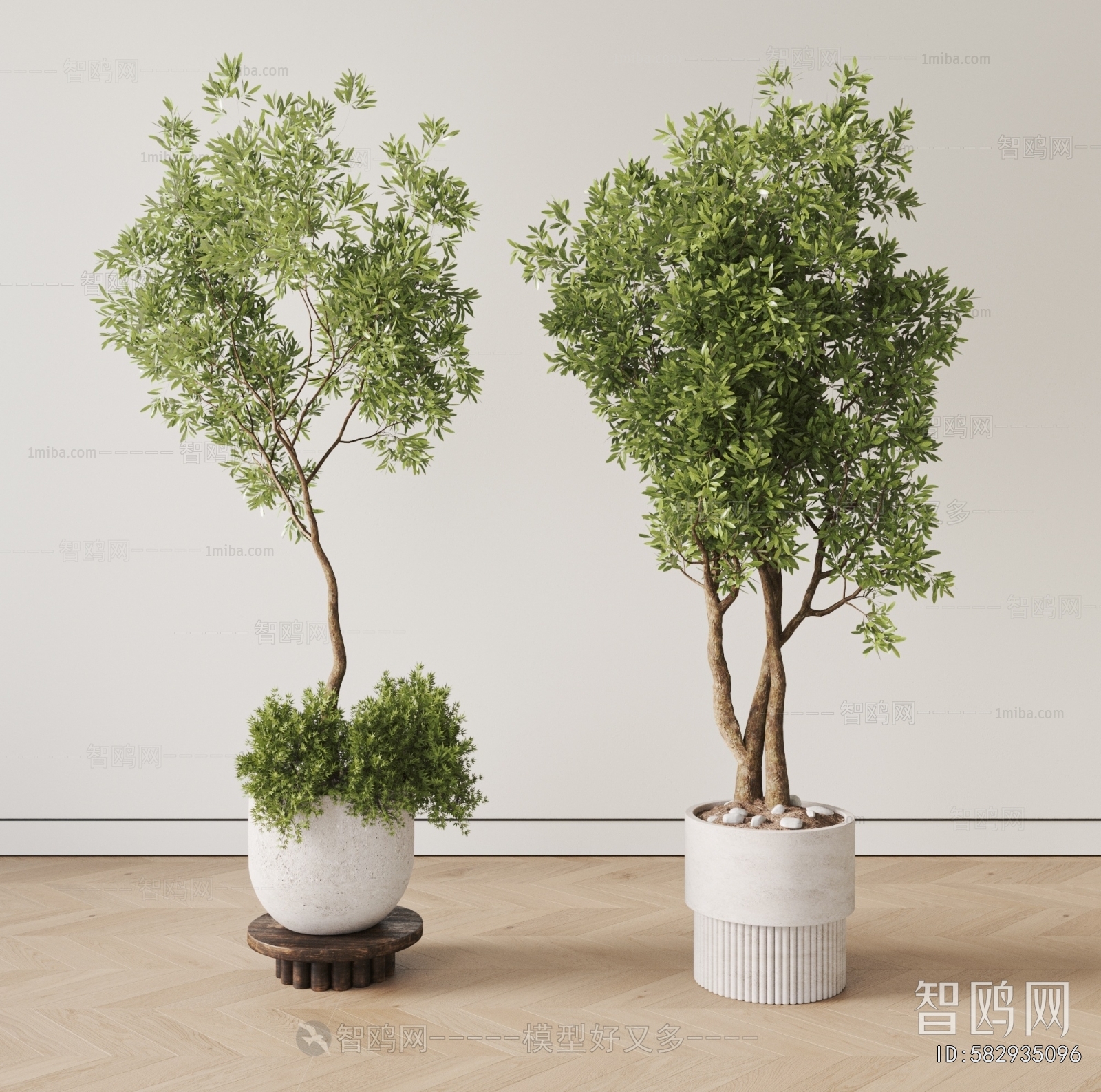 Modern Ground Green Plant Potted Plants