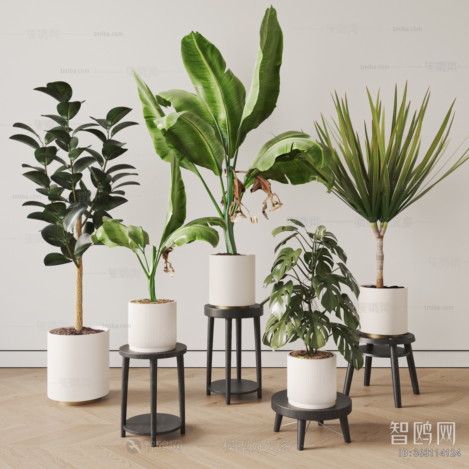 Modern Ground Green Plant Potted Plants