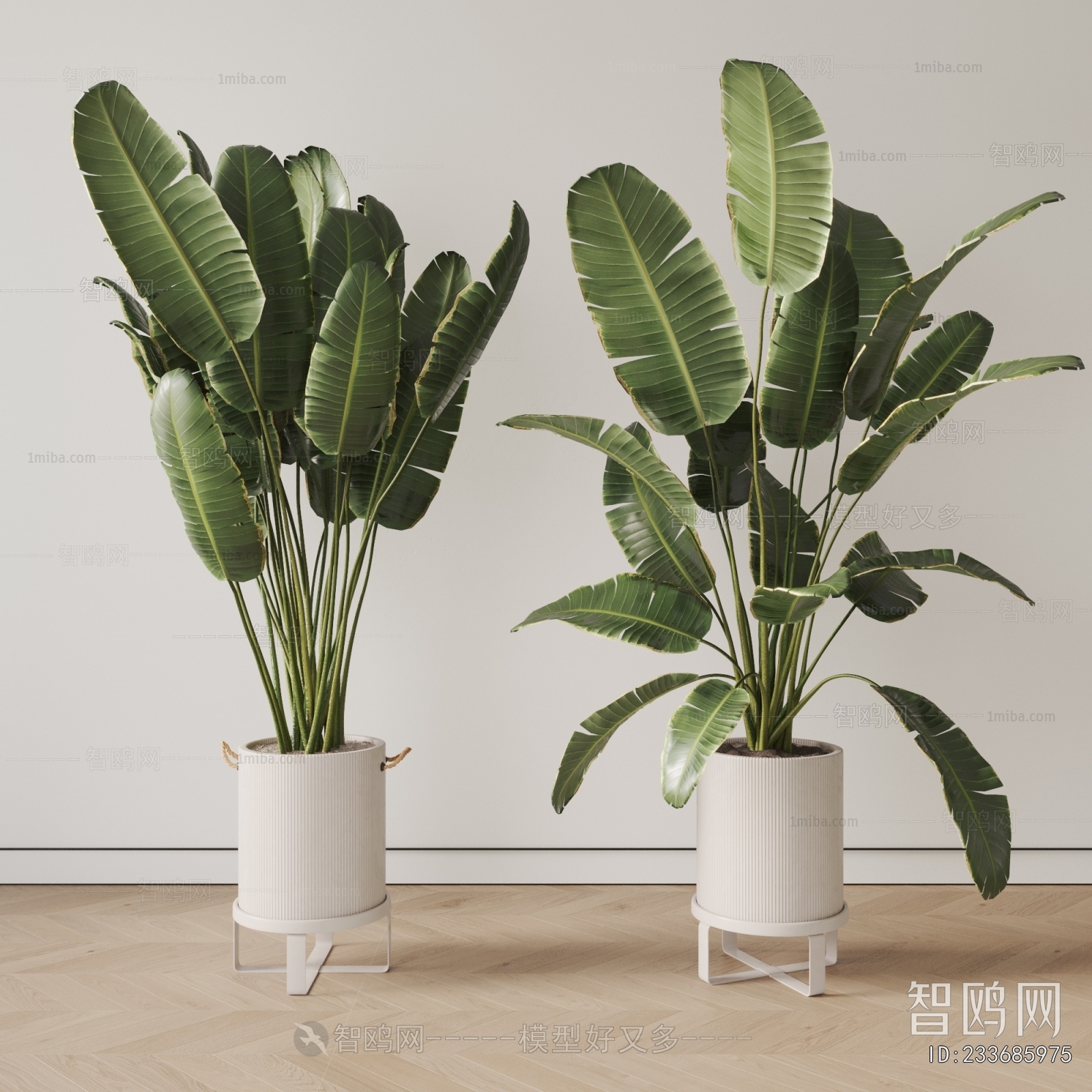 Modern Ground Green Plant Potted Plants