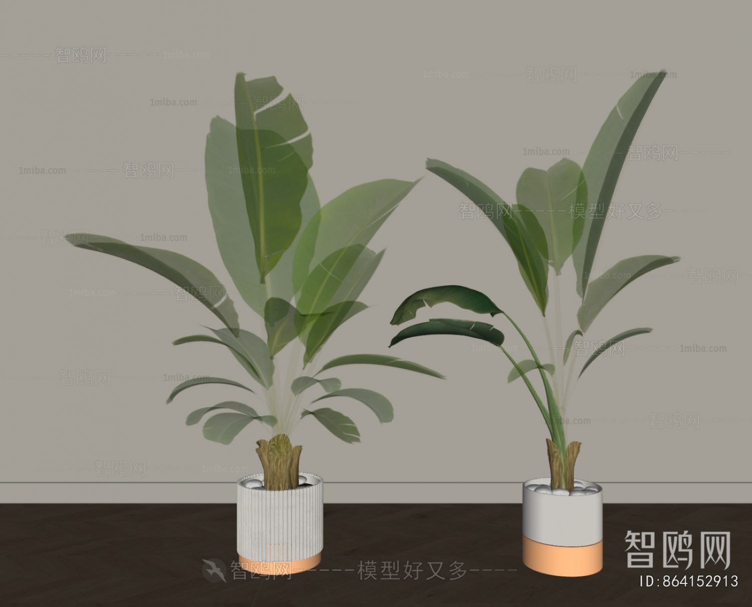 Modern Ground Green Plant Potted Plants