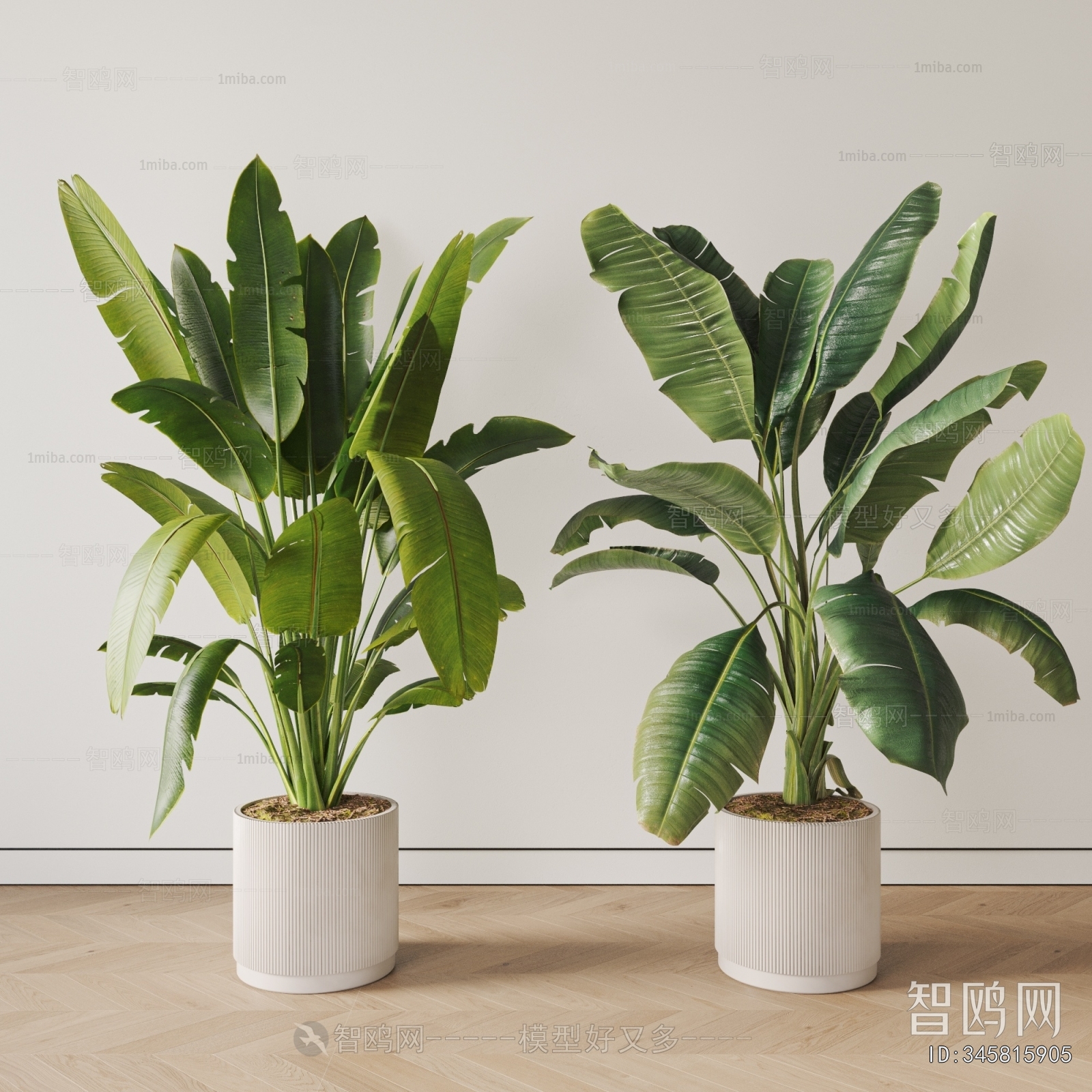 Modern Ground Green Plant Potted Plants