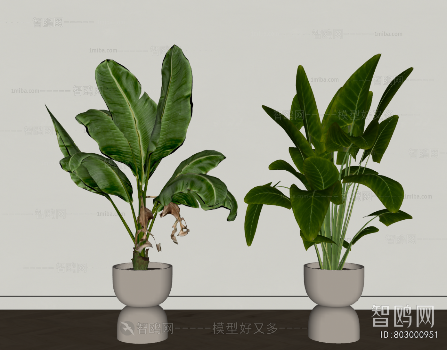 Modern Ground Green Plant Potted Plants