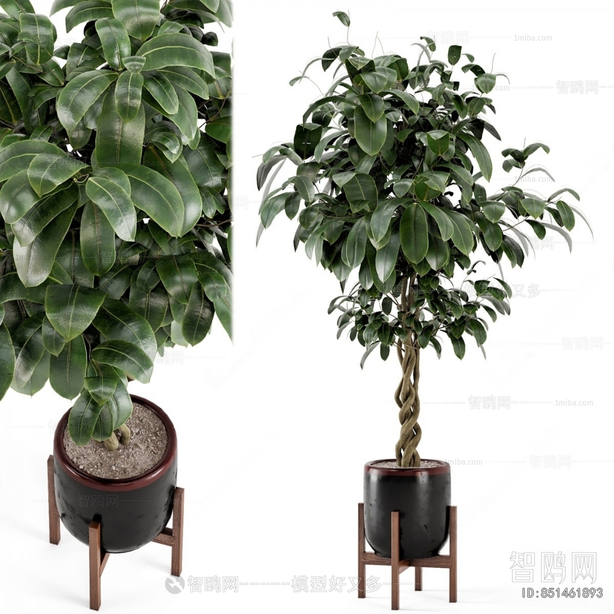 Modern Ground Green Plant Potted Plants